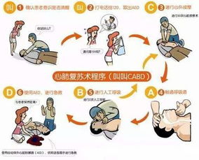 黄金4分钟家庭心肺复苏图解急救手册
