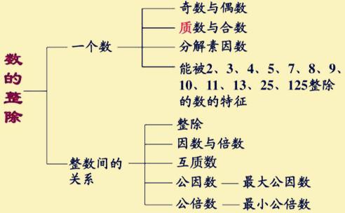 三个特征判断孩子是否适合学奥数